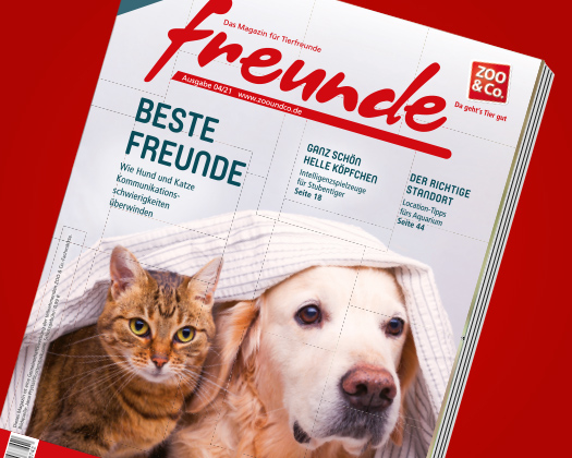 freunde-Magazin 04/2021
